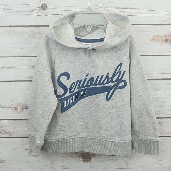 Carter's Other - Carter's Hooded Gray Sweater Size 2T